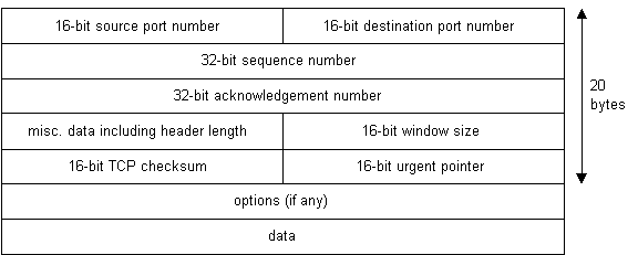 TCP header